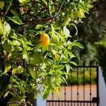 Casa Limao Portimão