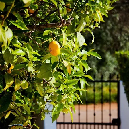 Casa Limao Портіман